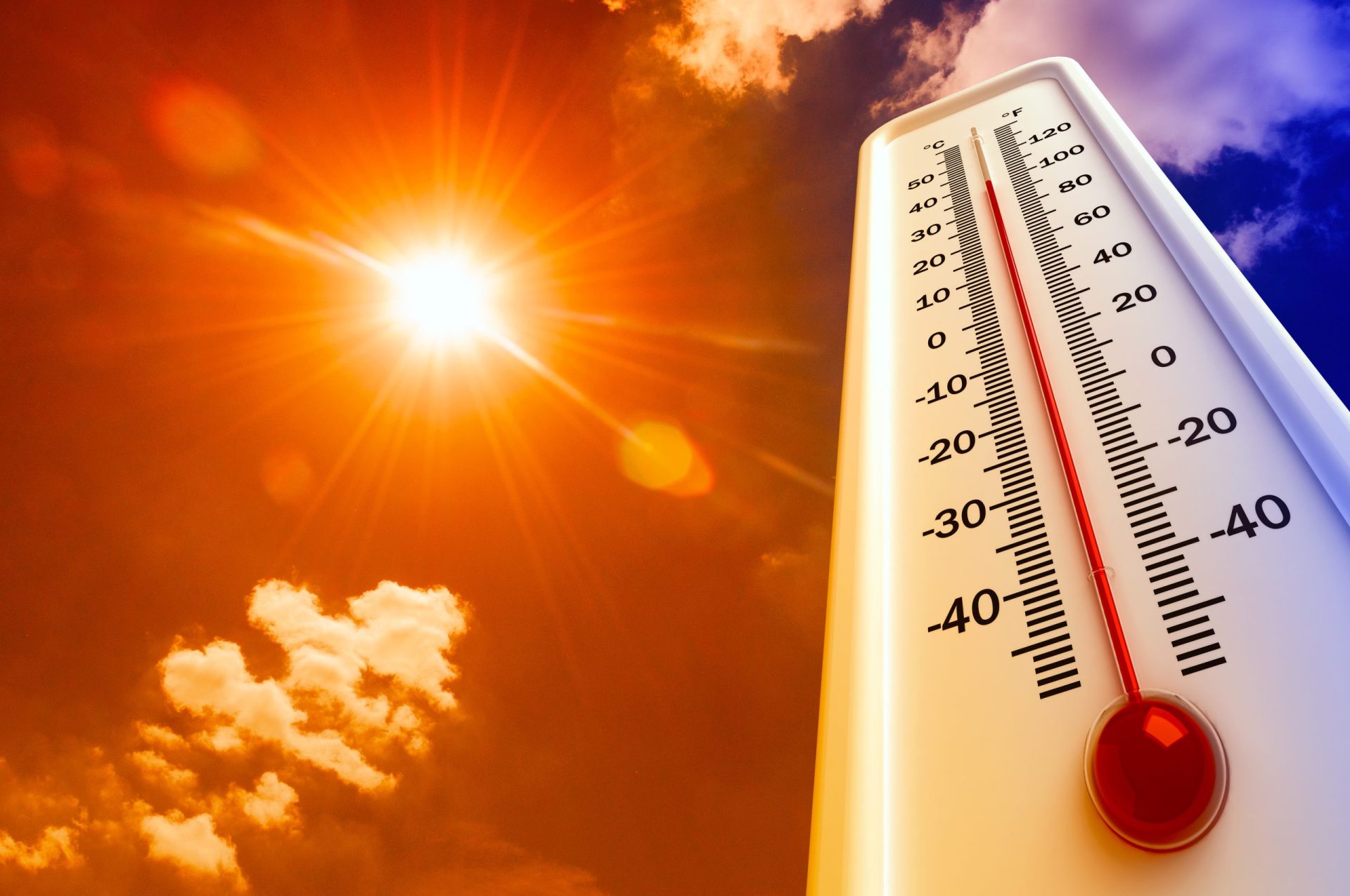 Calor. Estudo revela que as altas temperaturas vão continuar até 2022