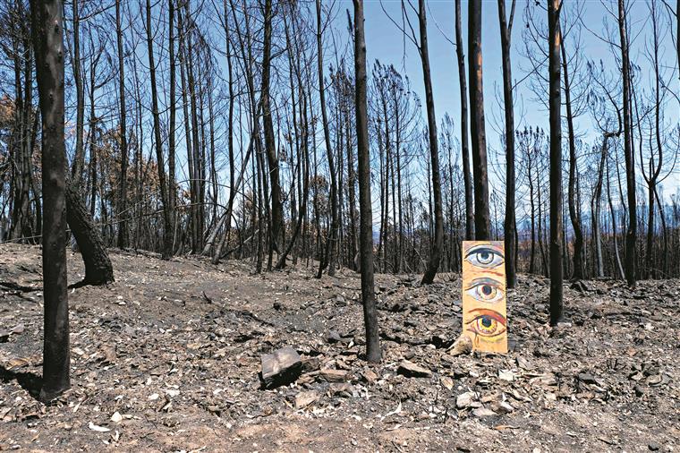 Presidente da Câmara de Pedrógão Grande vai distribuir 350 mil euros para apoio de perdas agrícolas