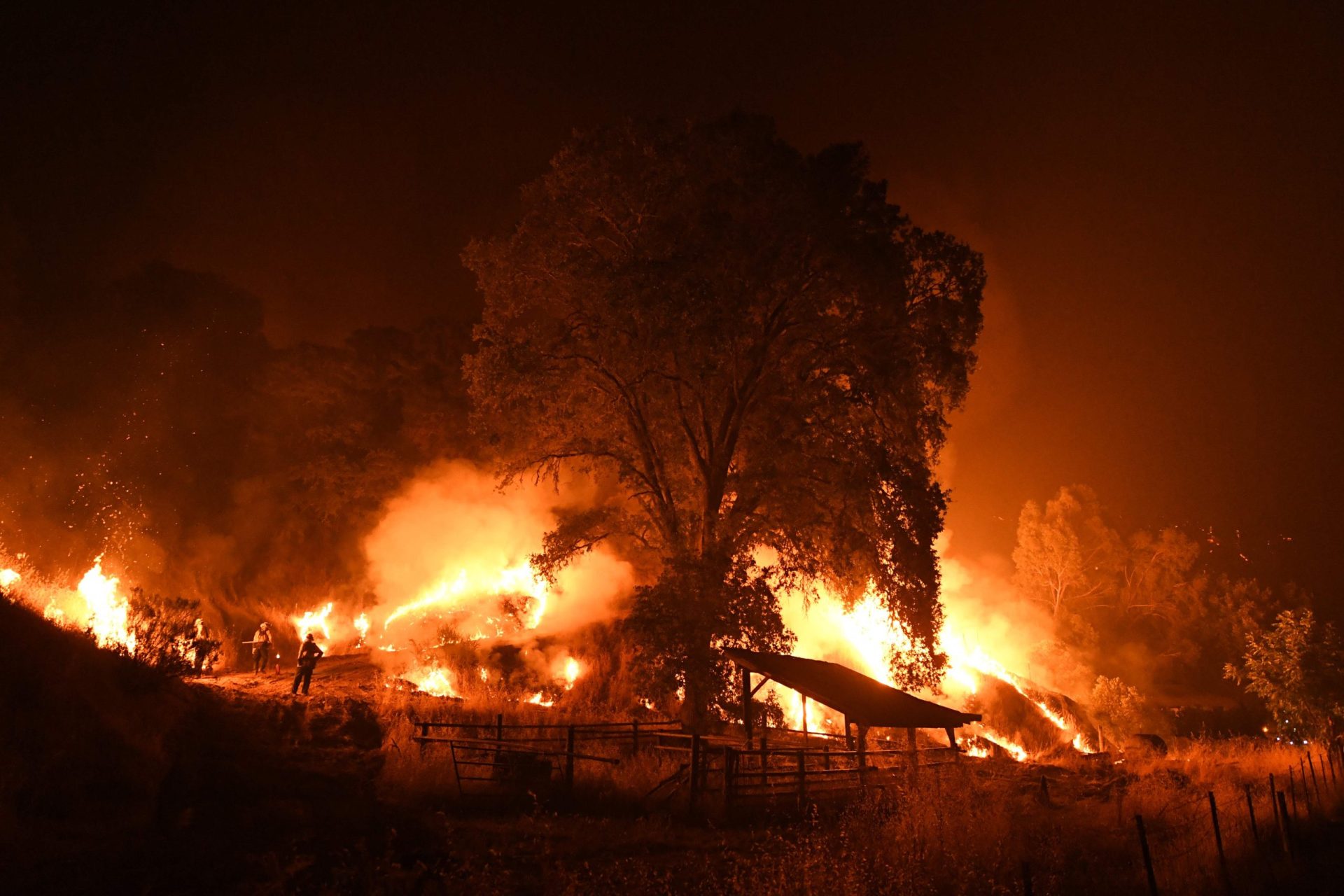 EUA. Califórnia arde sem parar | FOTOGALERIA