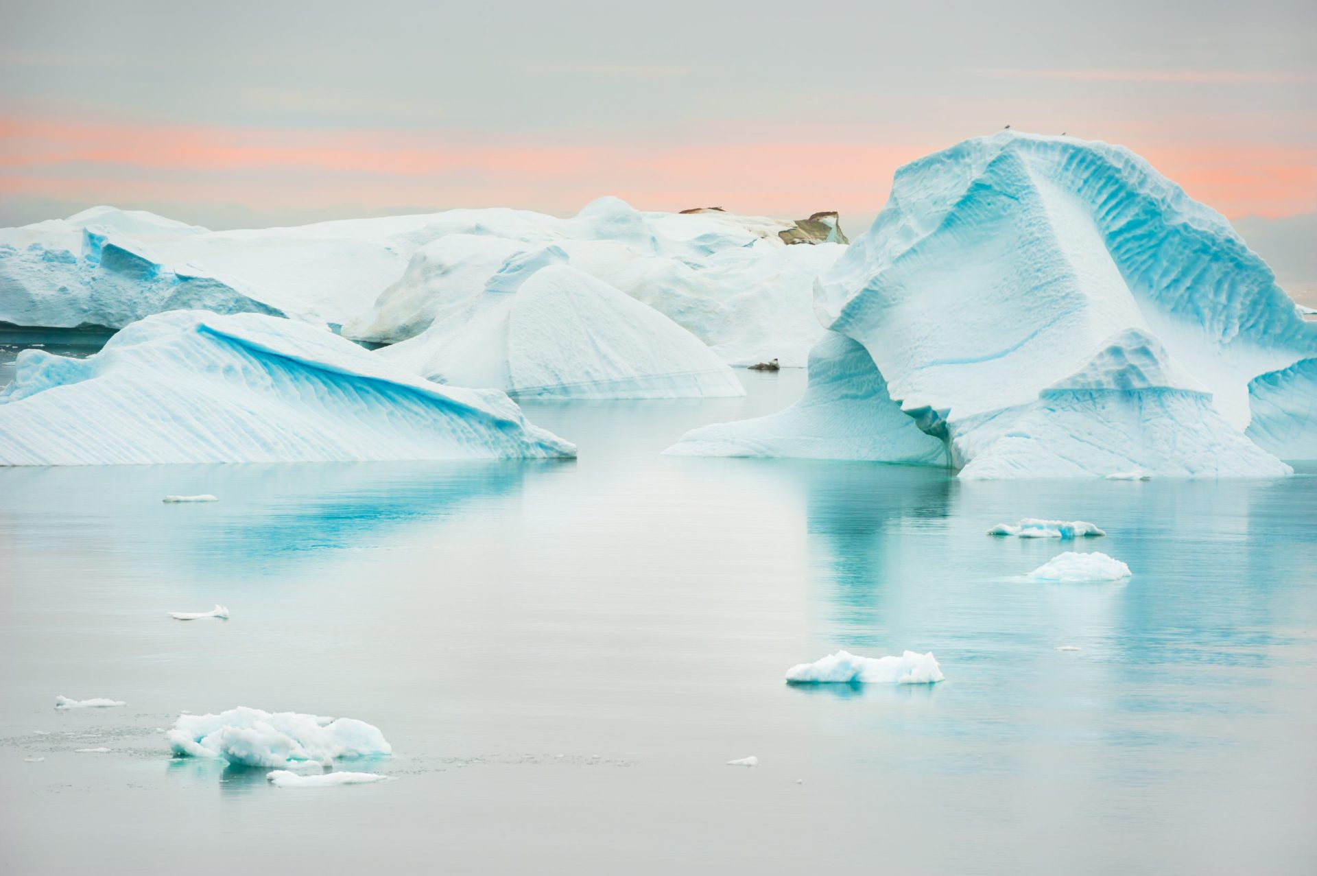 Cientistas preocupados com “última área de gelo” do Ártico que quebrou este ano