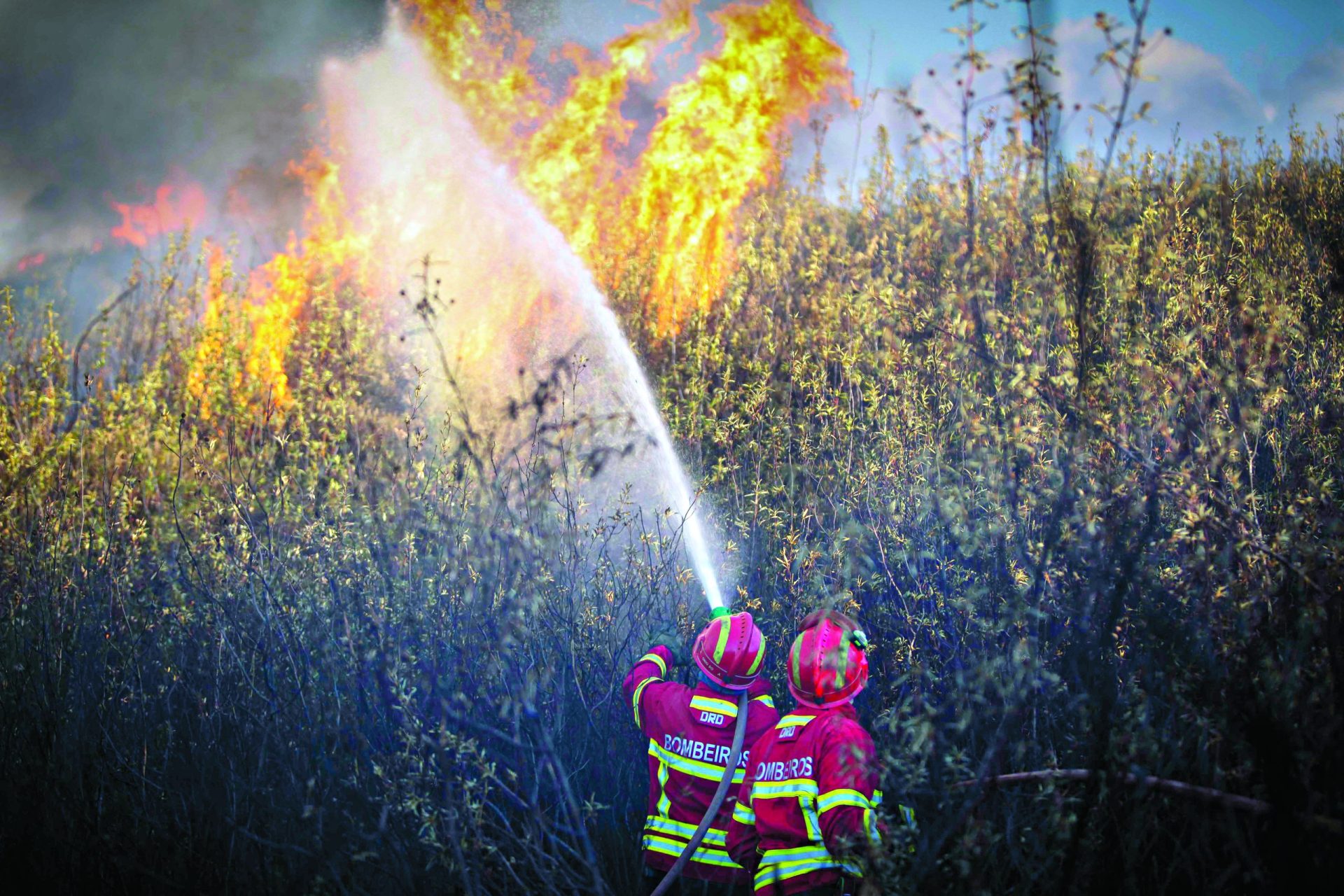 Mais de 1300 bombeiros combatem incêndios