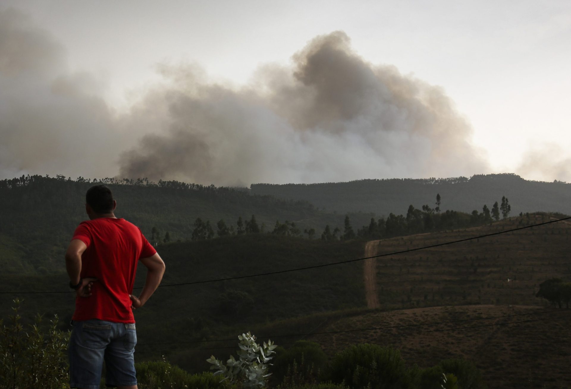 Fogo em Monchique obriga a evacuar aldeia em Odemira