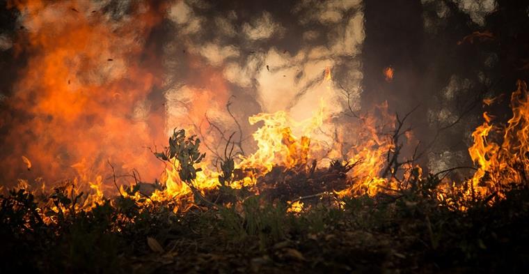 Sobe para 29 o número de feridos no incêndio de Monchique