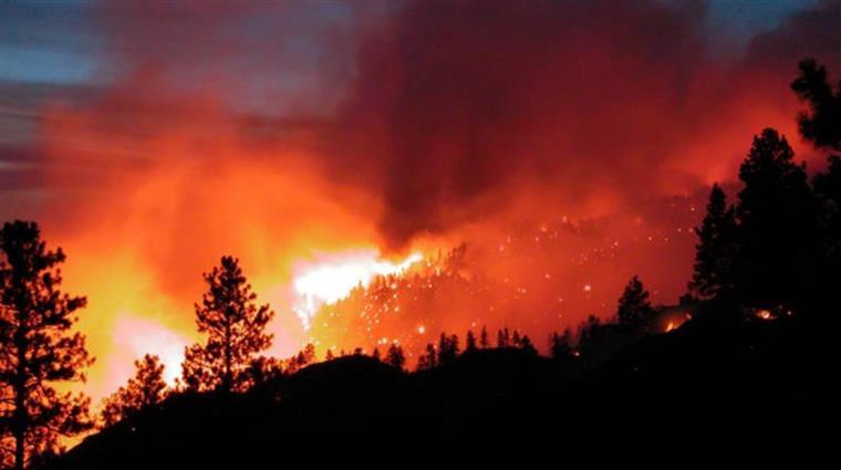 Mais de 120 bombeiros combatem incêndio em Loulé