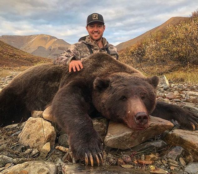 Caçador publica fotos de urso morto e recebe ameaças de morte