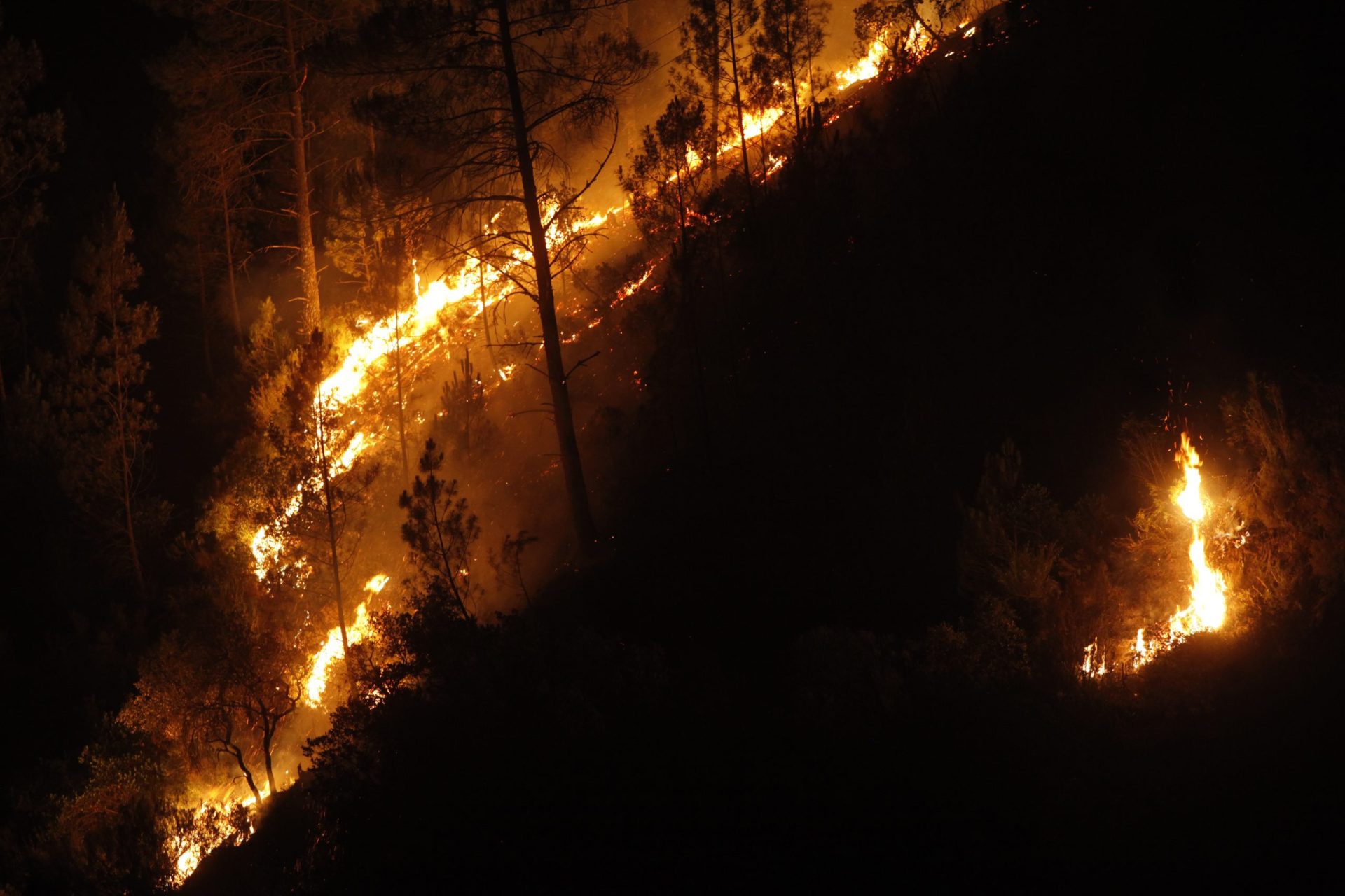 Acusação sobre responsabilidade do incêndio de Pedrógão está quase concluída