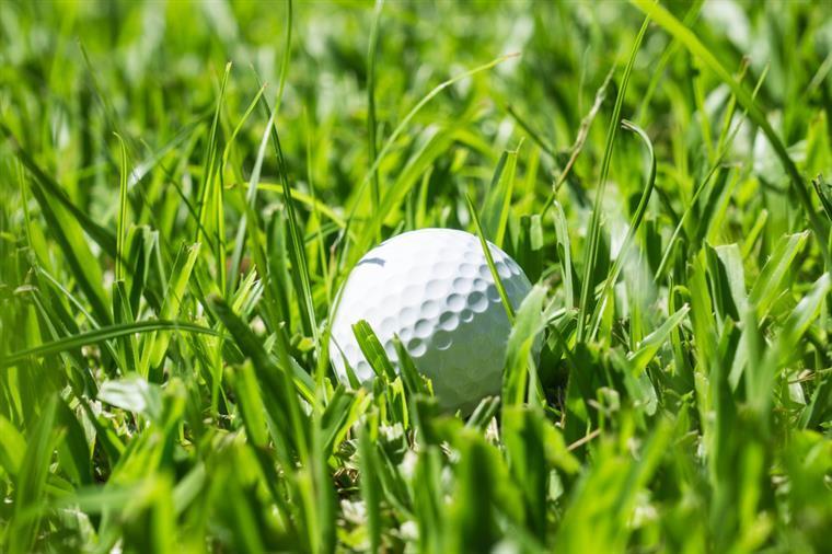 Golfe. Europa vence quarta Ryder Cup nas últimas cinco edições