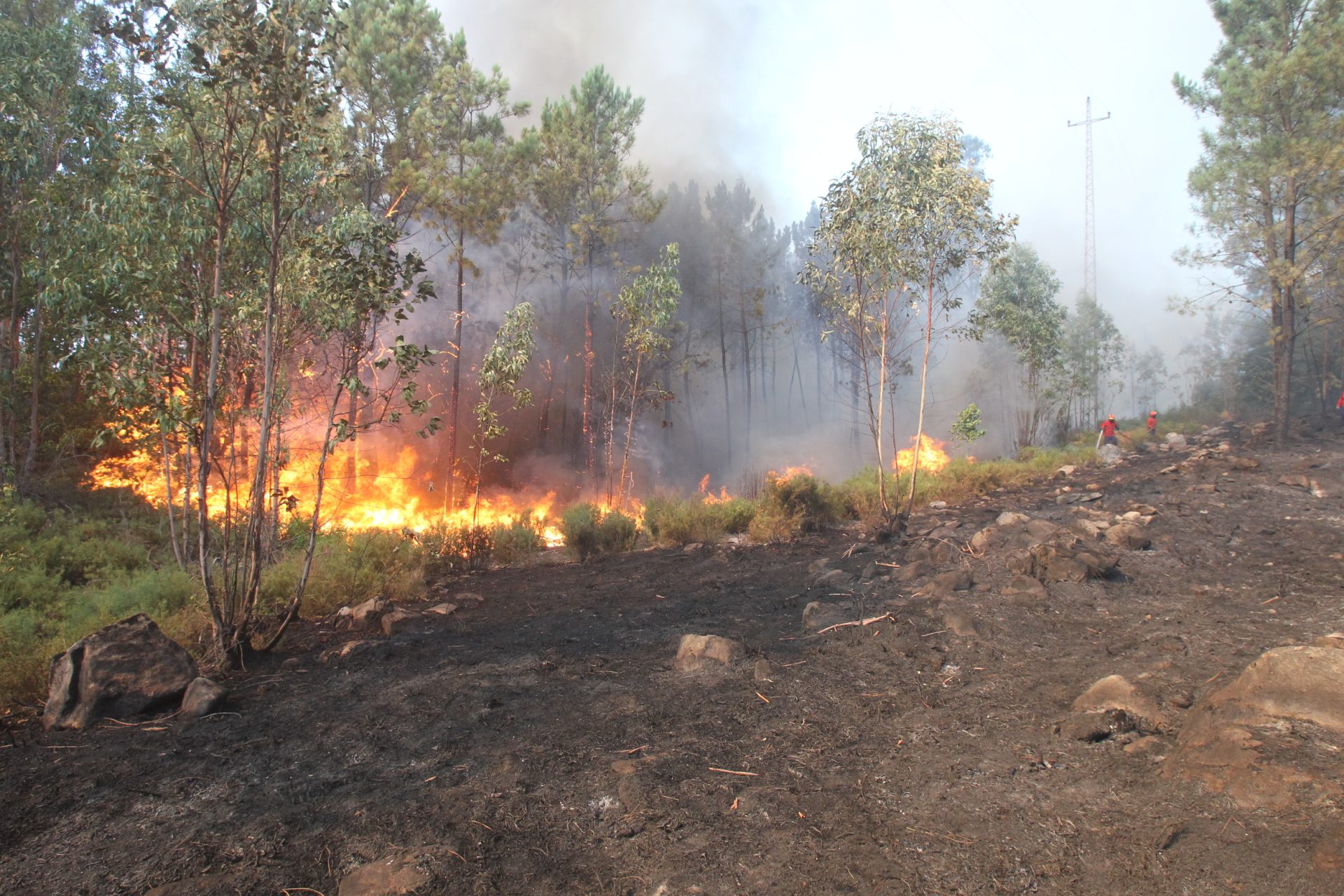 Incêndio em Penacova mobilizava 250 bombeiros foi dado como extinto