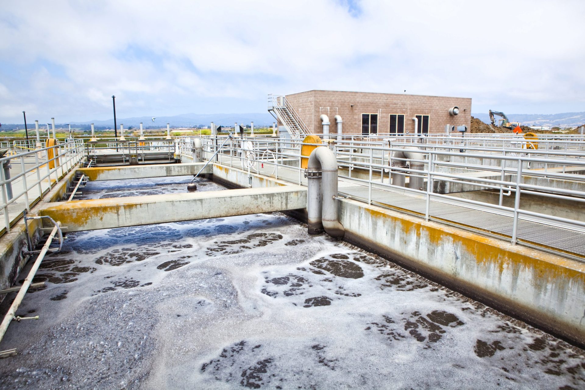 Investigadores portugueses criam sistema de limpeza de águas residuais com cascas de pinhão