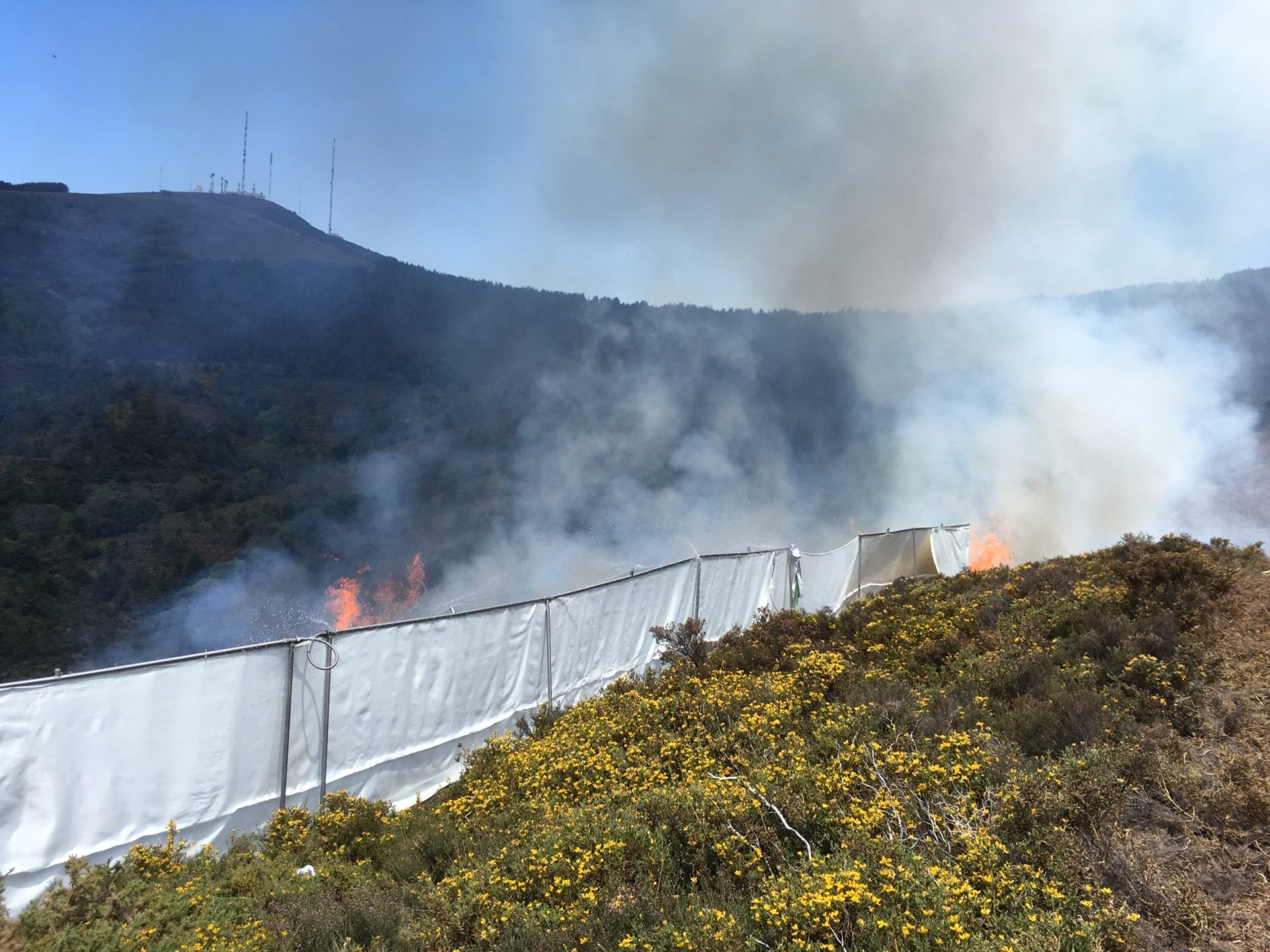 Investigadores portugueses criam sistema de proteção de incêndios