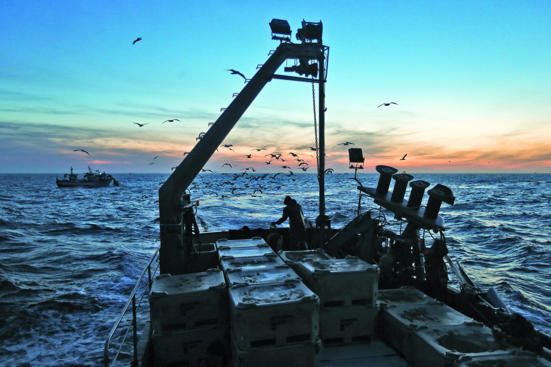 Sardinha. Interdição de pesca da sardinha até dia 3 de junho