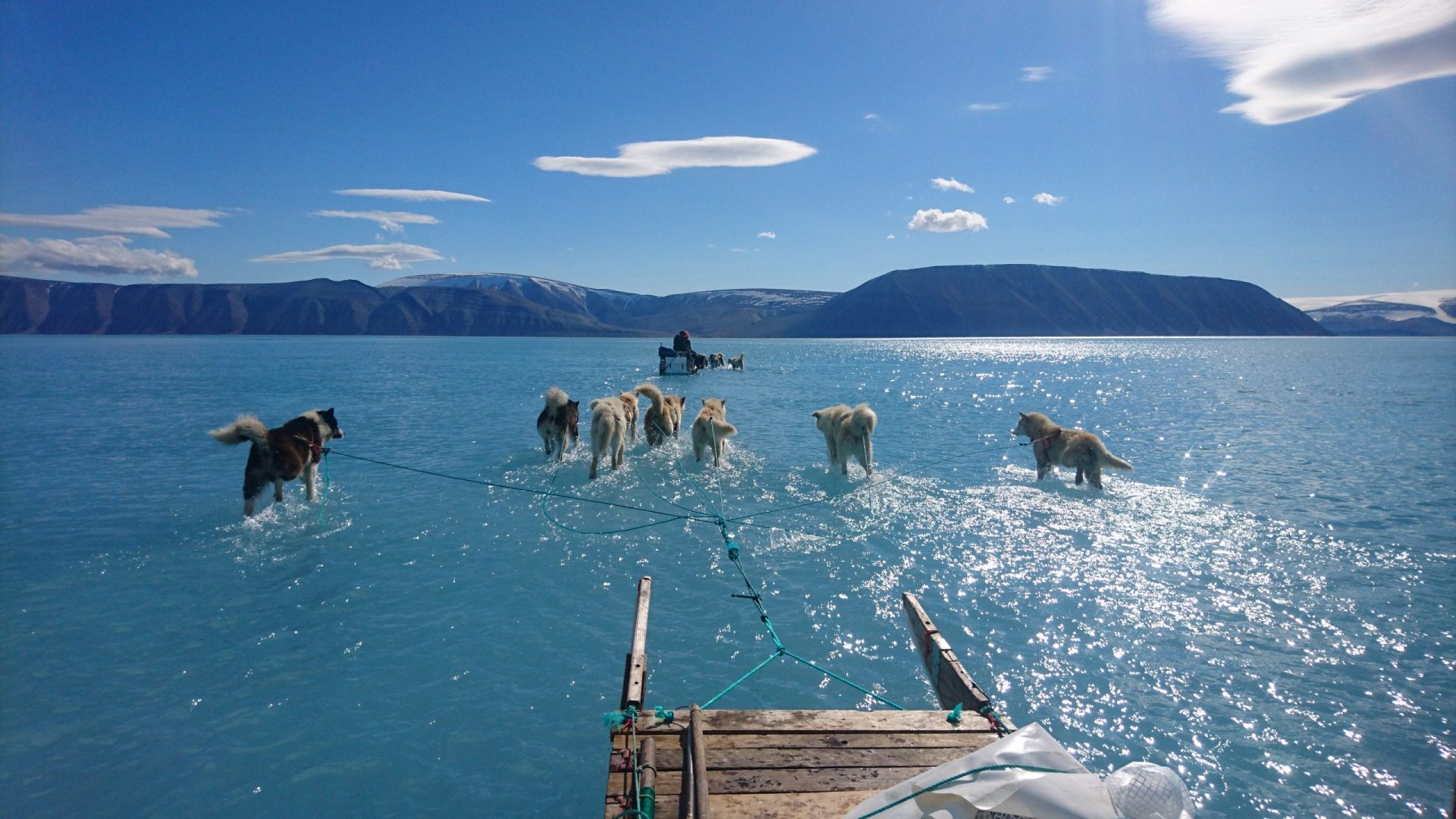 Gronelândia. Imagem viral chama atenção para aquecimento global