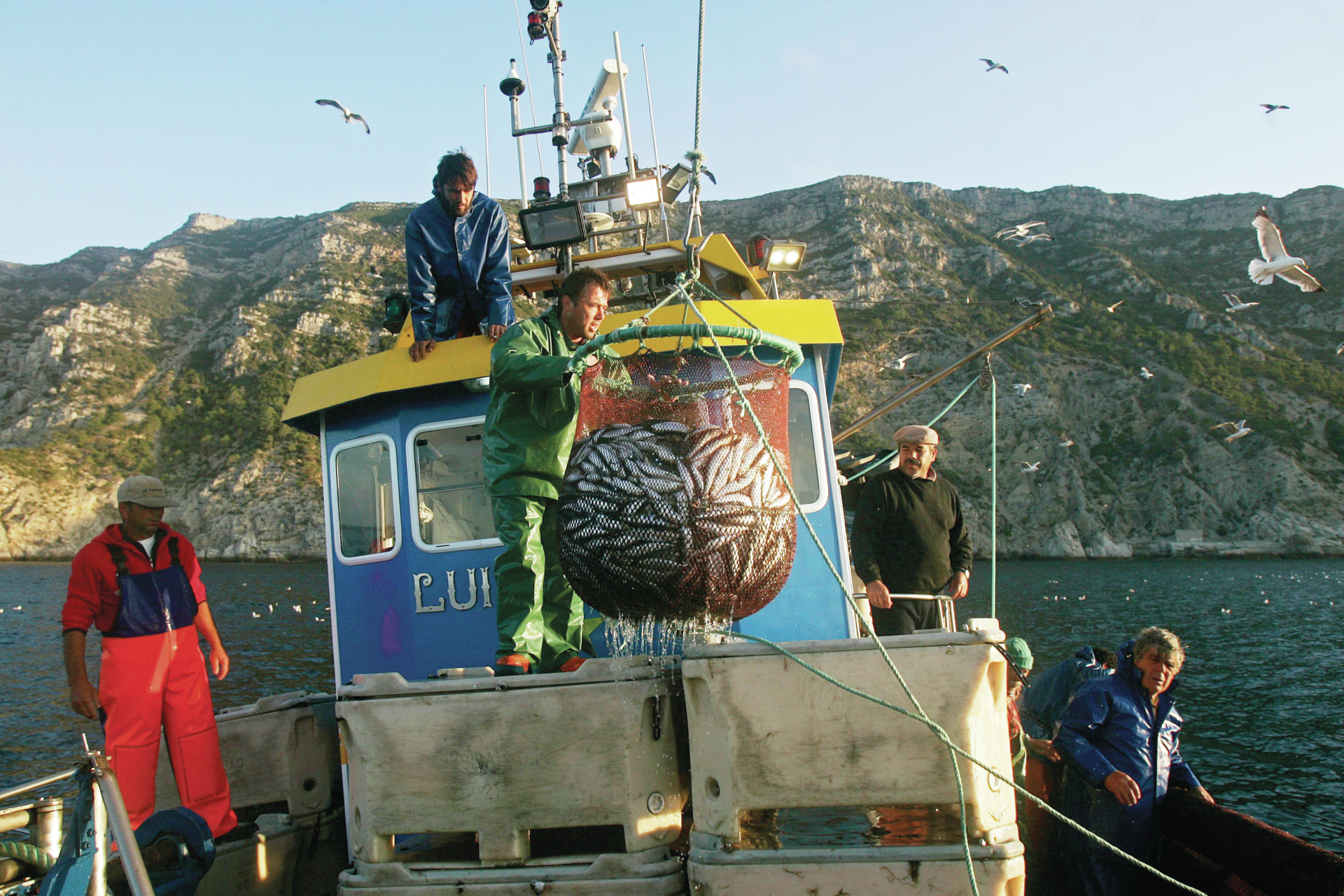 Pesca da sardinha volta a ser autorizada