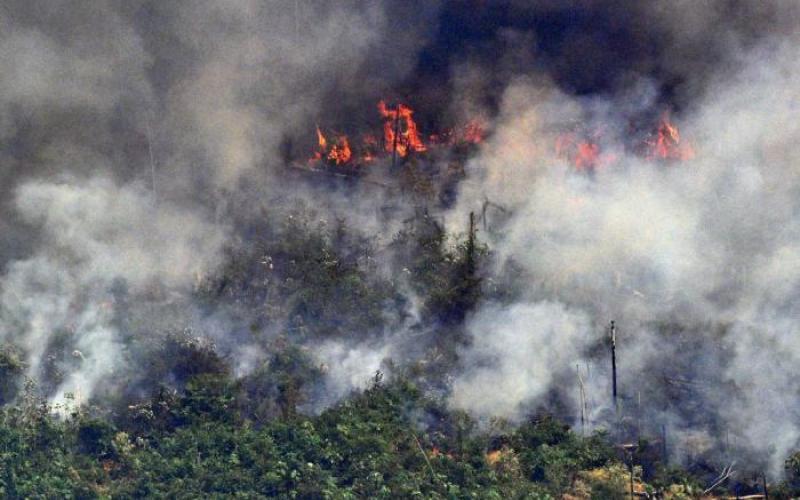 Marcas suspendem compras de couro por causa dos incêndios na Amazónia