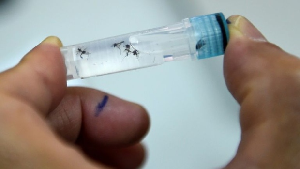 Casos de dengue aumentaram 600% no Brasil