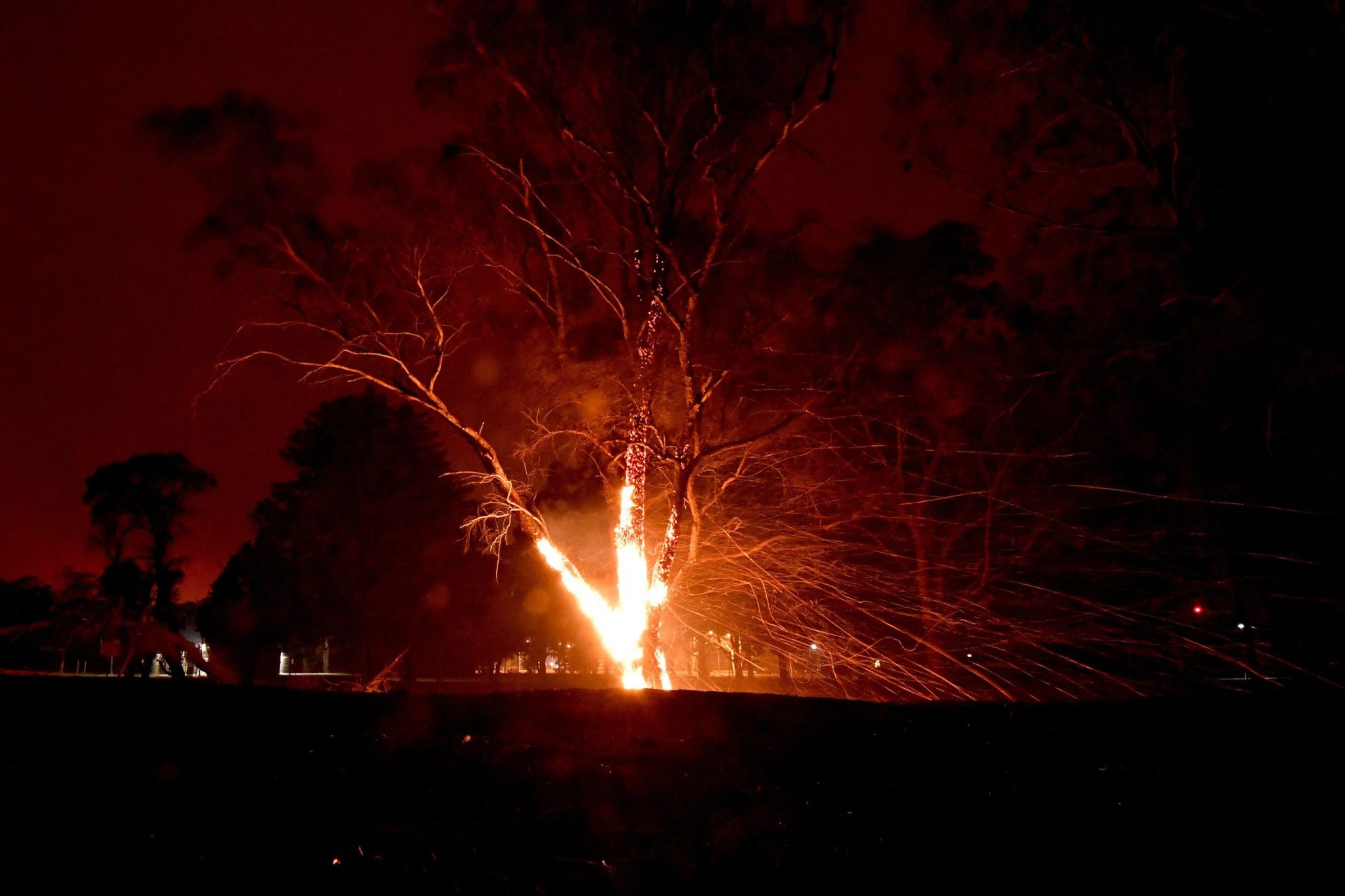 Austrália. Dezenas de milhares tentam escapar às chamas