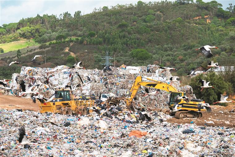 Associação das Empresas do Ambiente pede ‘debate sério’ sobre gestão de resíduos industriais