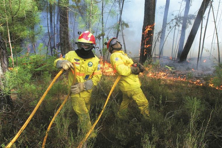 Governo apresenta plano de combate aos incêndios