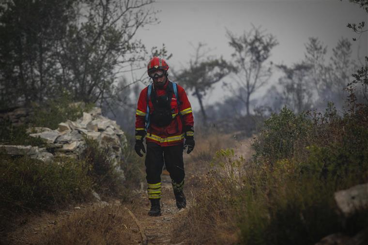 Incêndios. O “perigo” da floresta portuguesa que “continua abandonada”