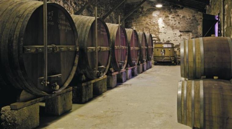 Alentejo promove vinhos para o mercado norte-americano