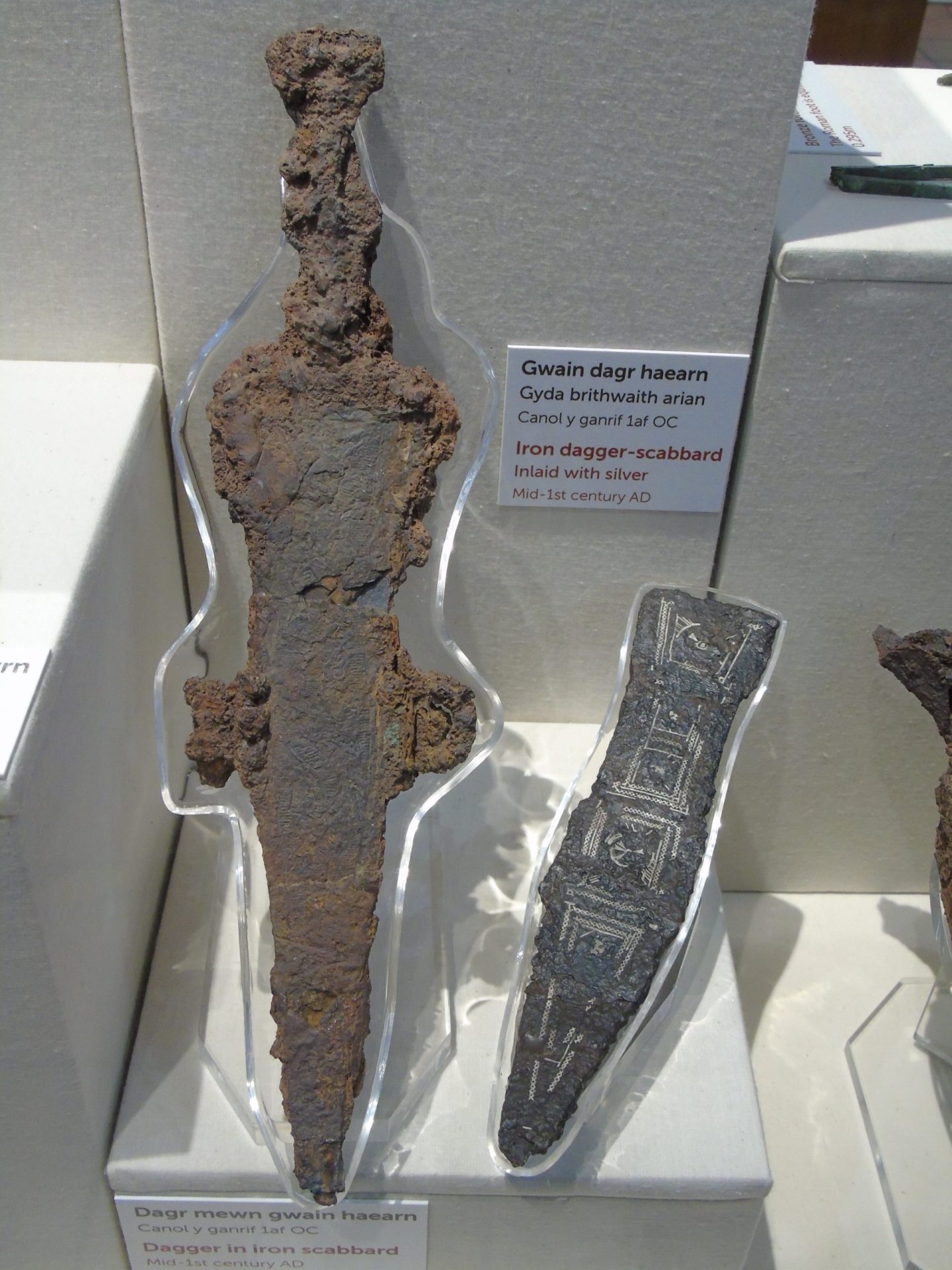 Arqueólogo suíço localiza uma adaga romana de dois mil anos com o seu detetor de metais
