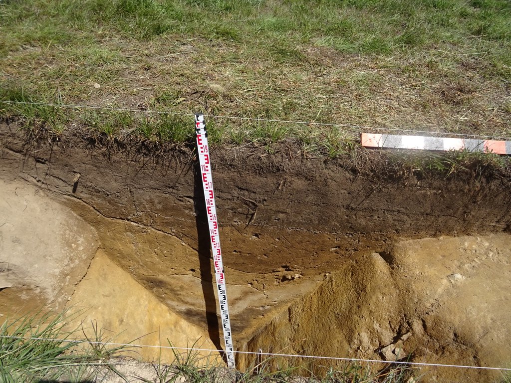 Investigação arqueológica descobre acampamento militar romano em Montalegre