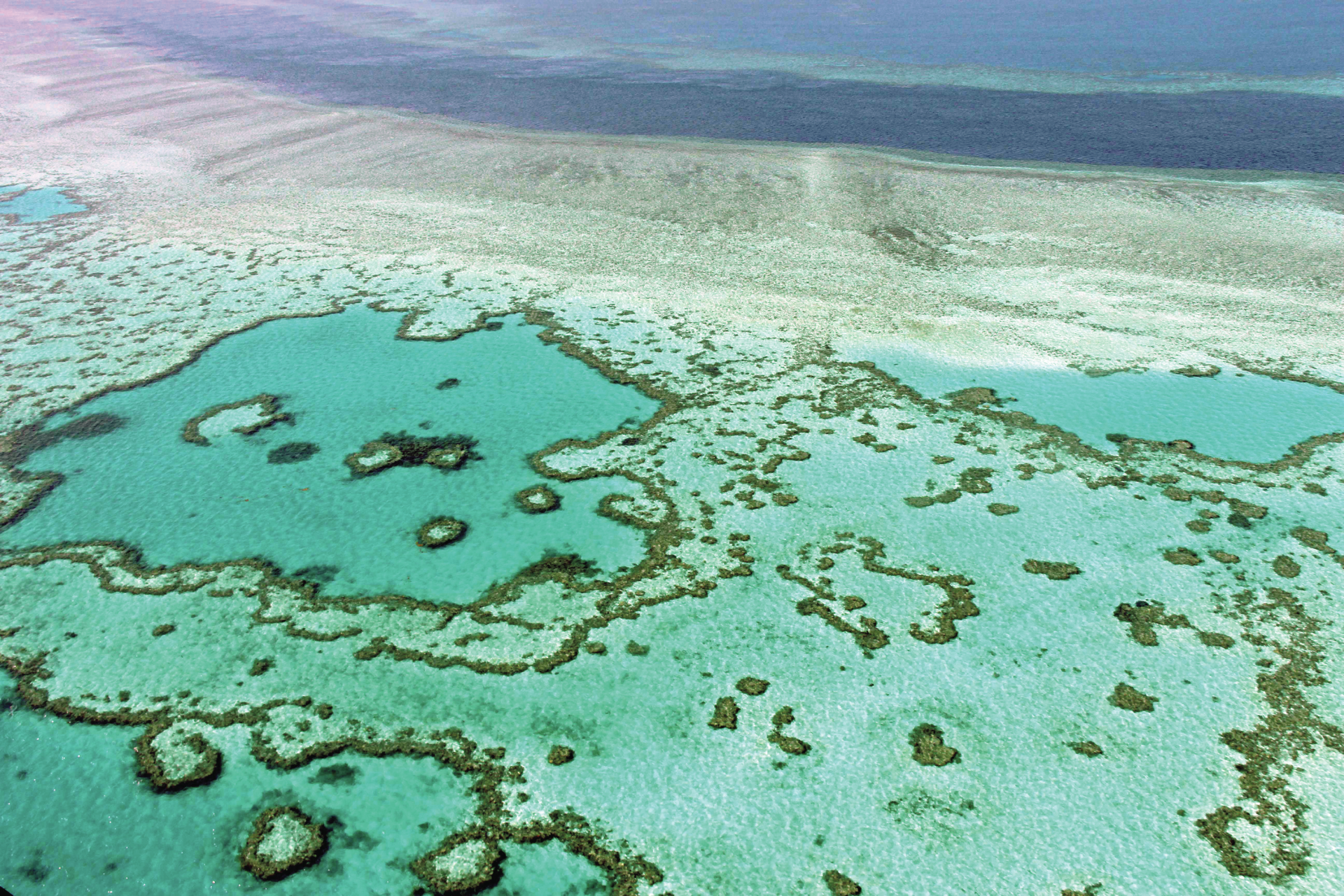Grande Barreira de Coral está em “perigo”, diz UNESCO. Austrália discorda
