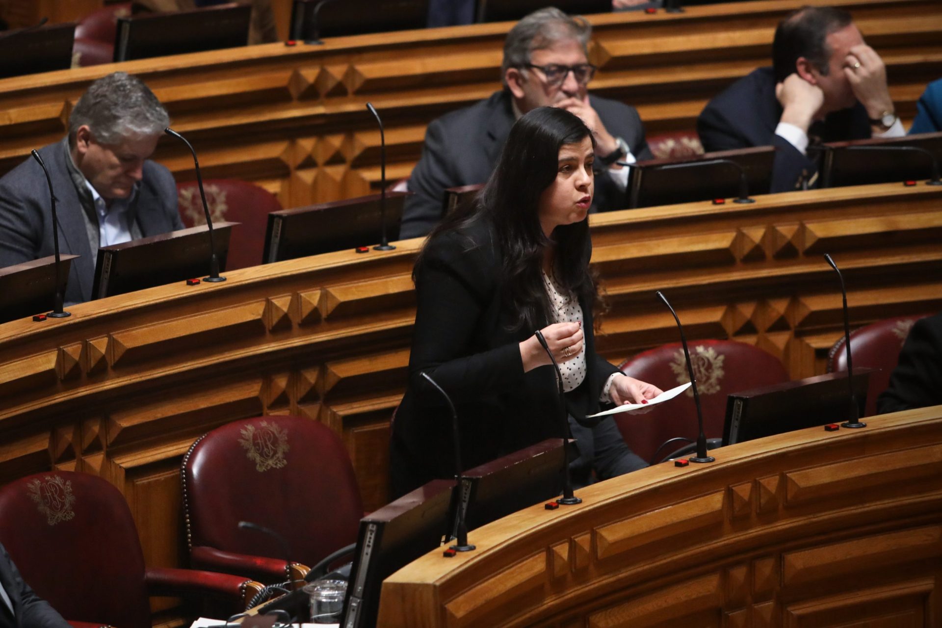 PAN. Inês Sousa Real diz que vai às próximas legislativas para ser governo