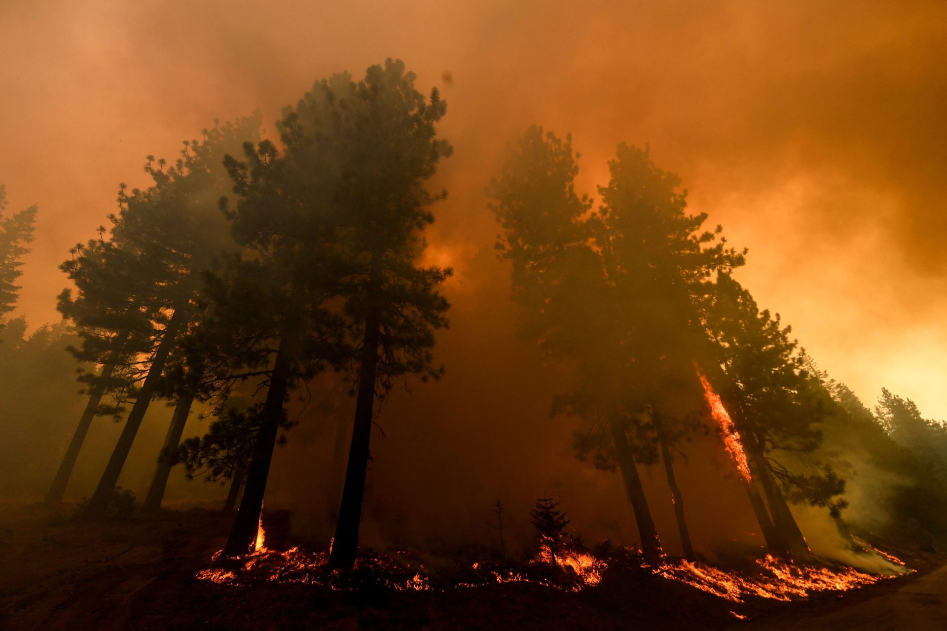 Os incêndios descontrolados que cercam a Califórnia