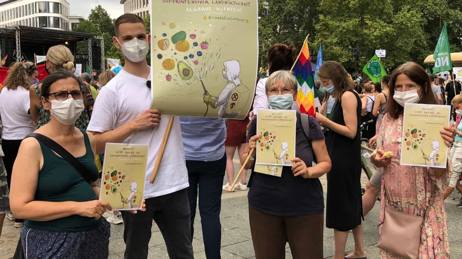 Ativistas alemães pedem boicote a estufas do Alentejo e Algarve