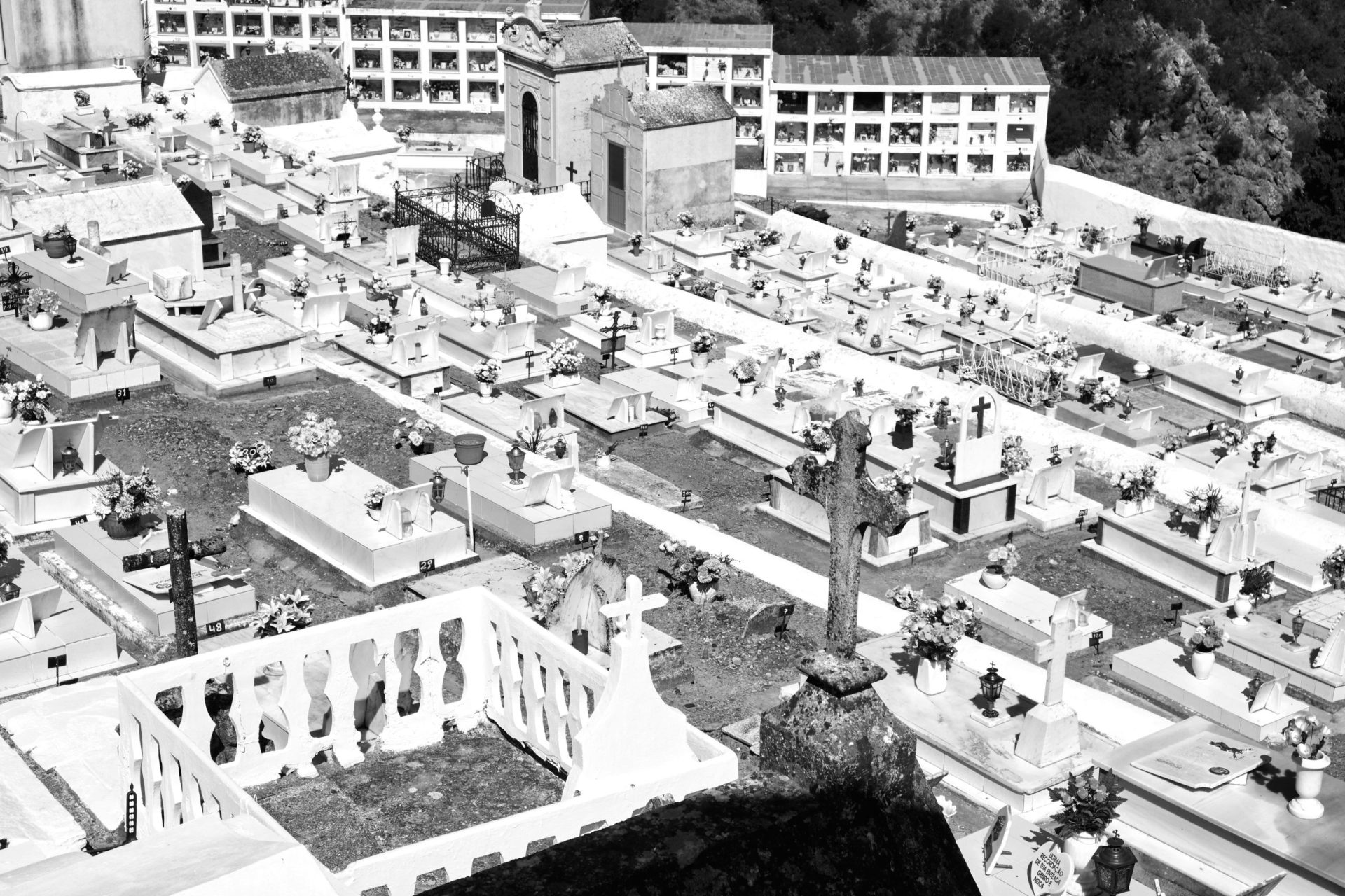 Dia 1 de Novembro de 1952. A estranha procissão da alegria dos cemitérios…