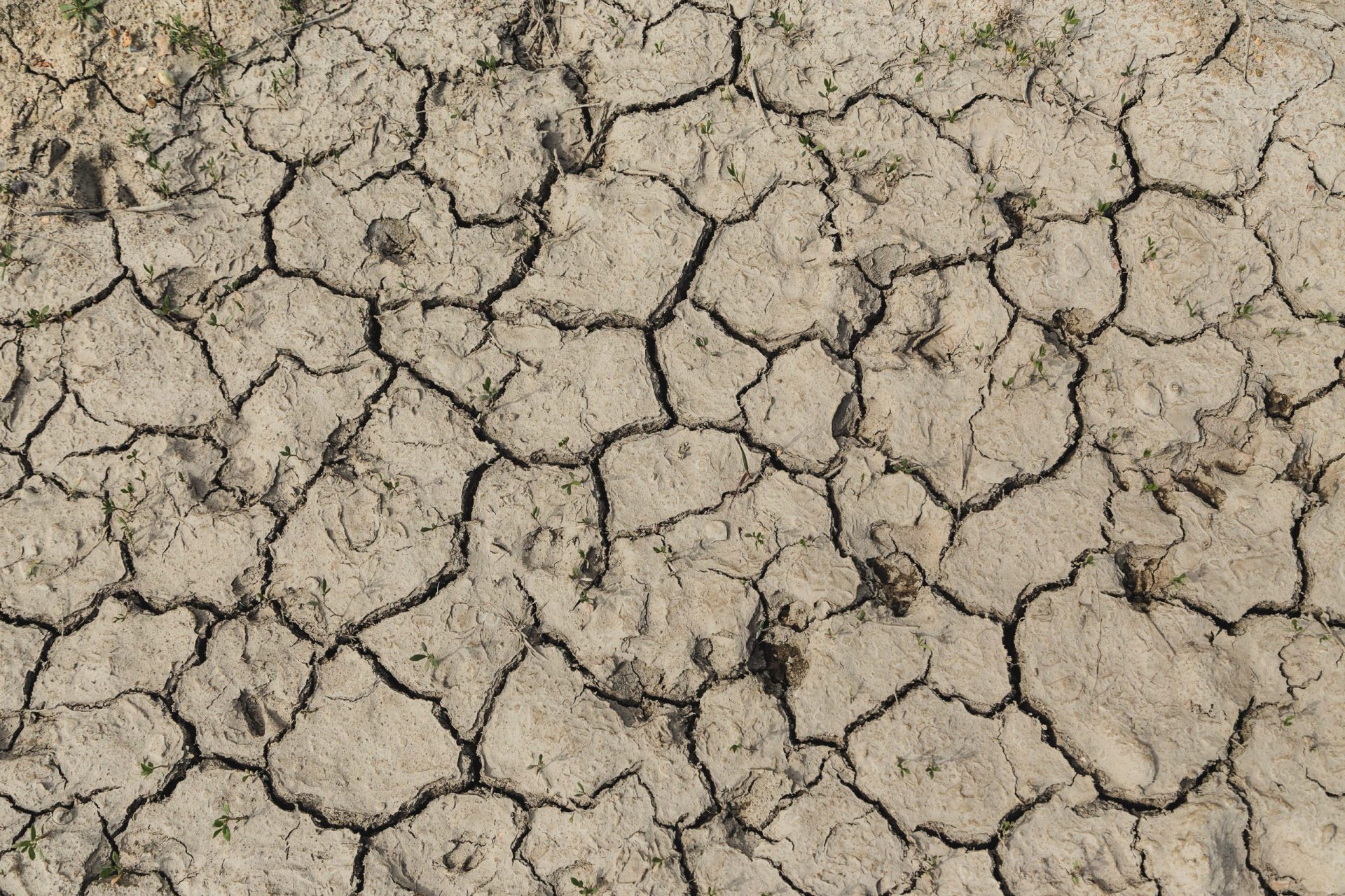 Região algarvia reduz rega de espaços verdes e fontes devido à seca