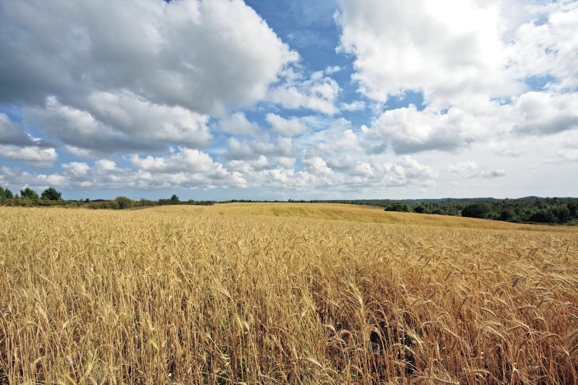 Há cada vez menos pessoas a trabalhar na agricultura em Portugal