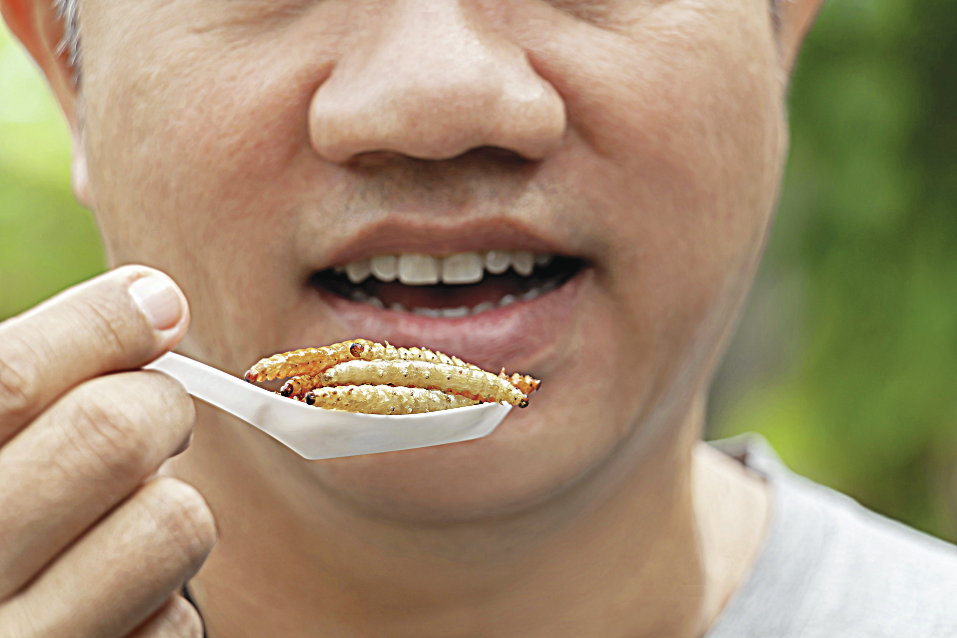 “Adoro snacks de insetos”. Portugueses divididos entre o entusiasmo e a repulsa