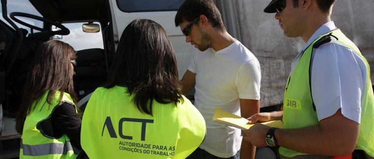 ACT realiza ação de fiscalização em Odemira para detetar trabalho ilegal