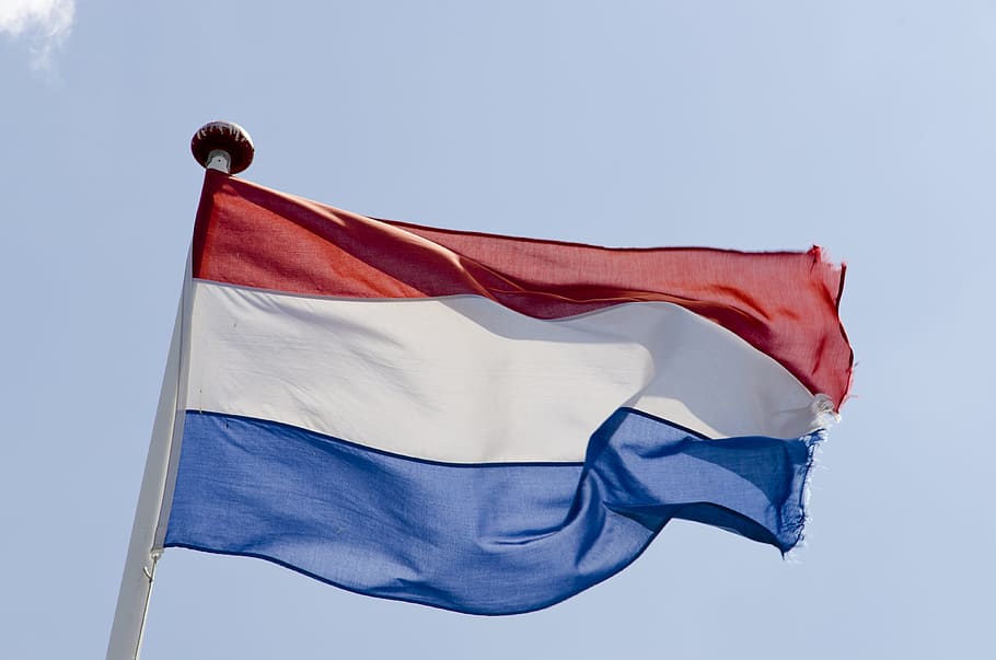 Eleições legislativas nos Países Baixos marcadas para 22 de novembro