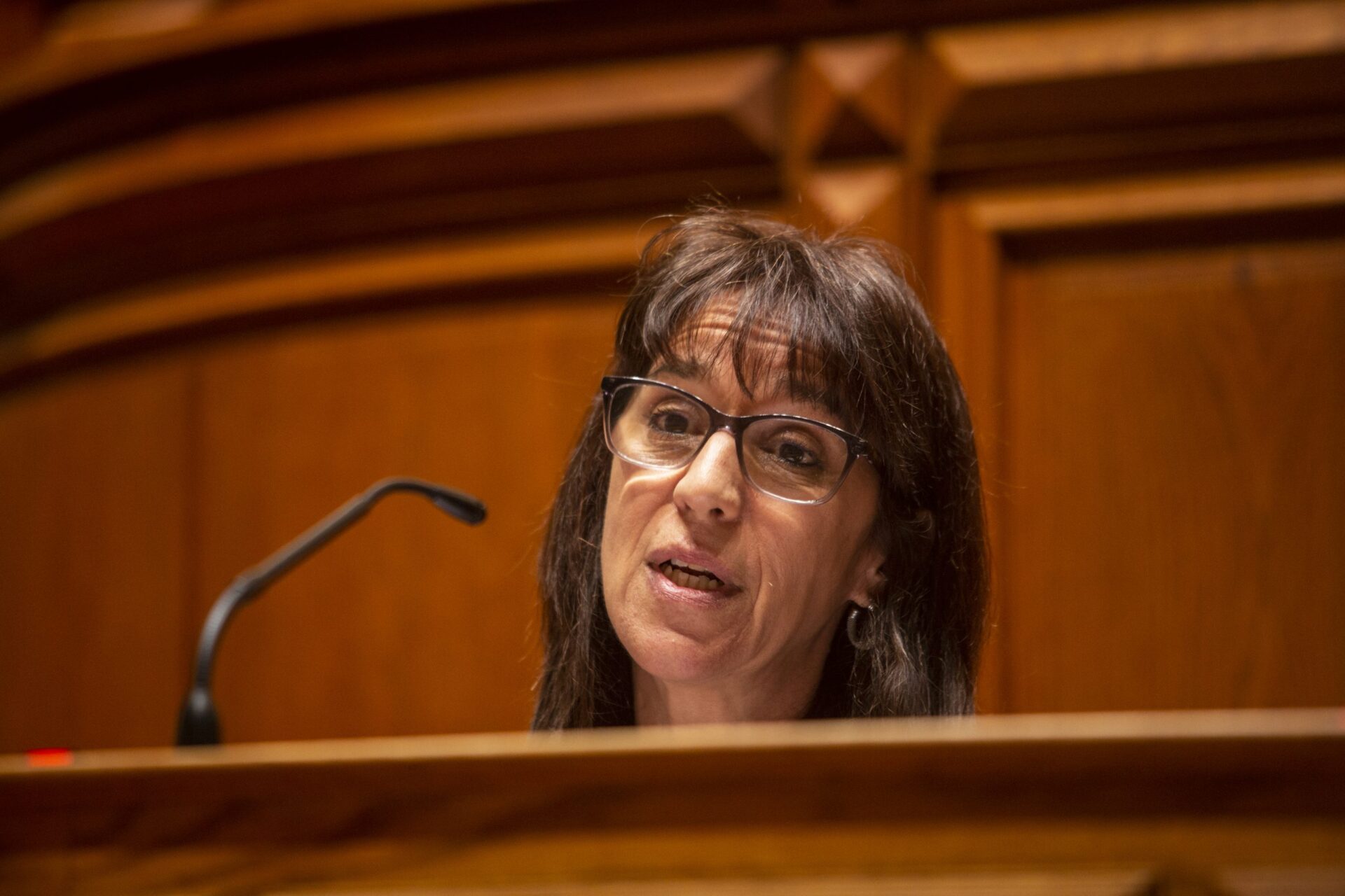 Helena Carreiras e Gomes Cravinho ouvidos na sexta-feira no Parlamento