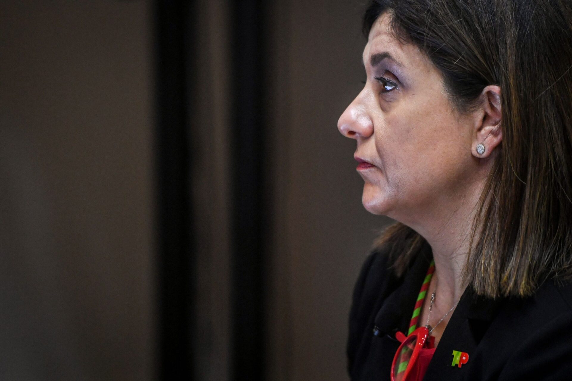 Relatório da CPI à TAP deixou Christine Ourmière-Widener “estupefacta”