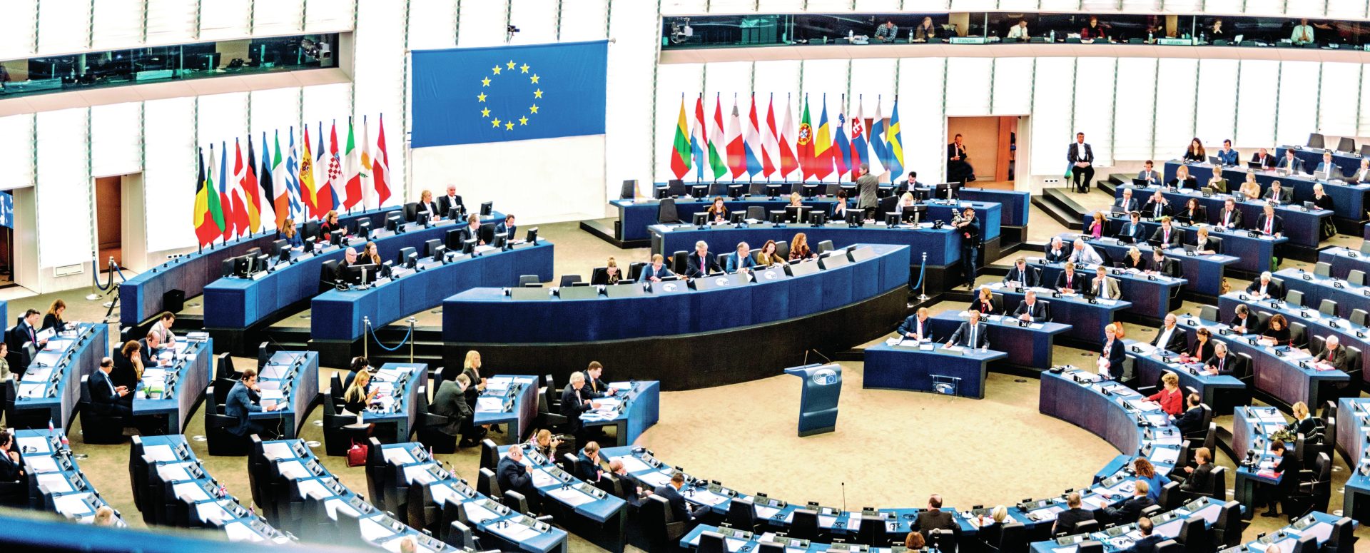 Parlamento Europeu aprova alargamento de crimes ambientais