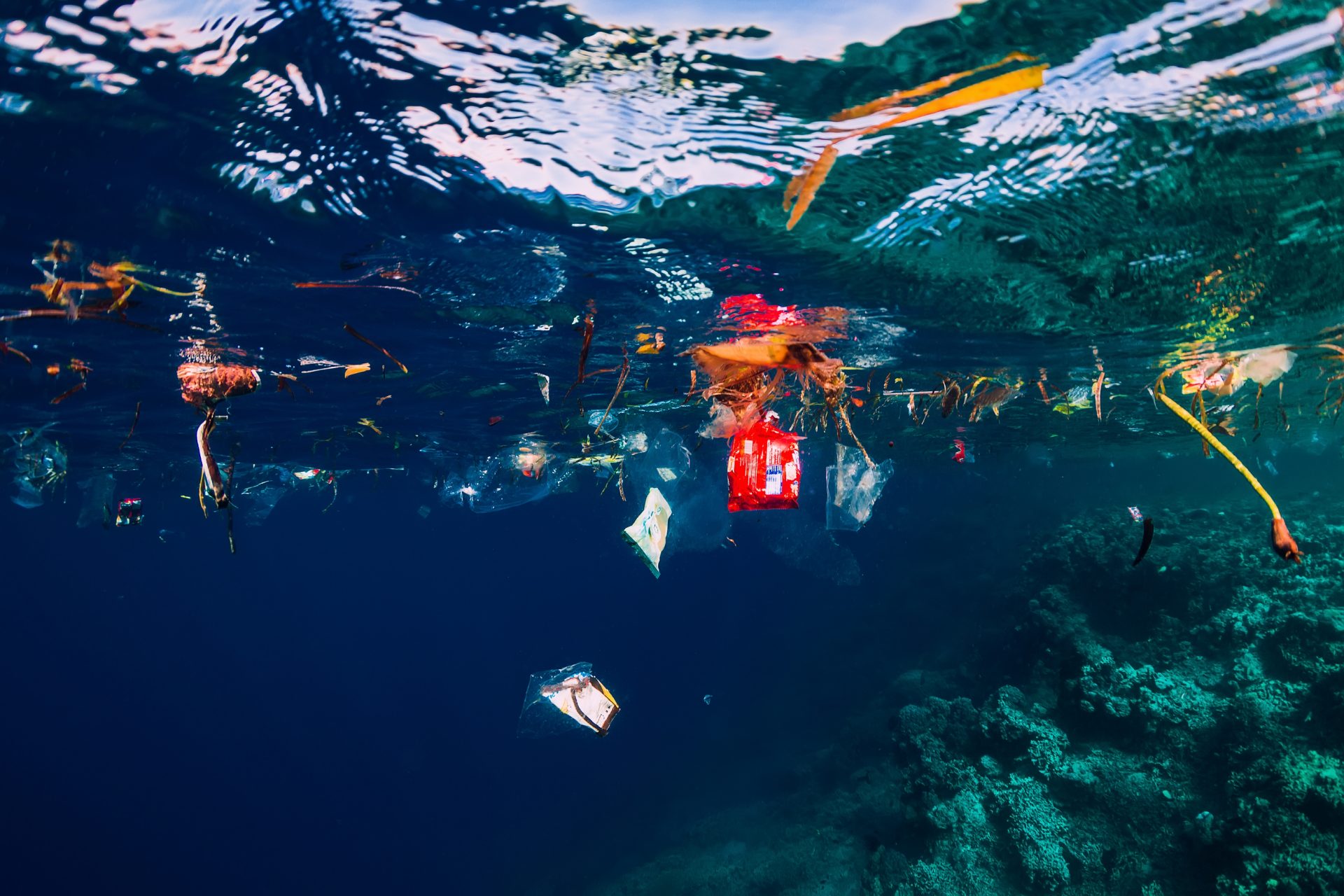 Ainda não foram detetados vestígios de plástico na costa portuguesa