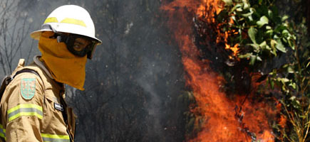 112 recebeu nove mil chamadas durante pico dos incêndios