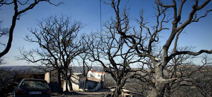 Incêndio no Prior Velho. Indemnizações ascendem a mais de 2,85 milhões 