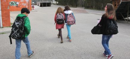 Schools have few students and maladjusted offer