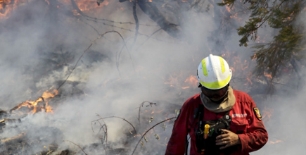 Ourém. Quase 150 operacionais combatem fogo