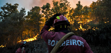 Portugal entre os países da UE que menos investe contra fogos