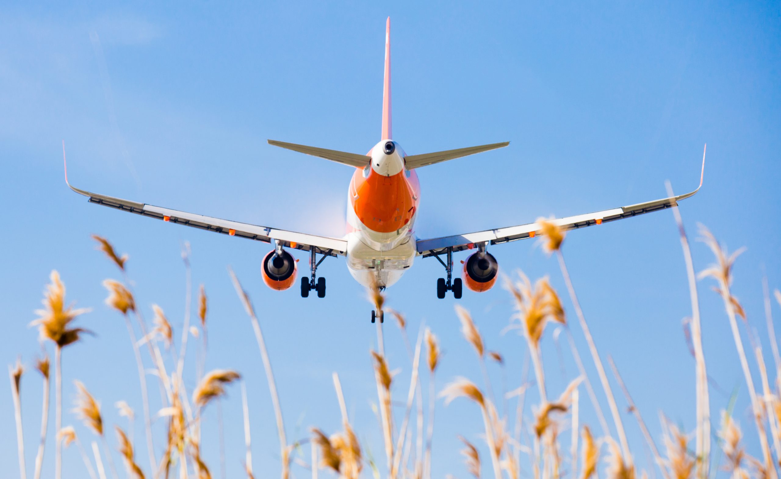 Easyjet. O que ter em conta na greve dos dia 15,16 e 17 de agosto