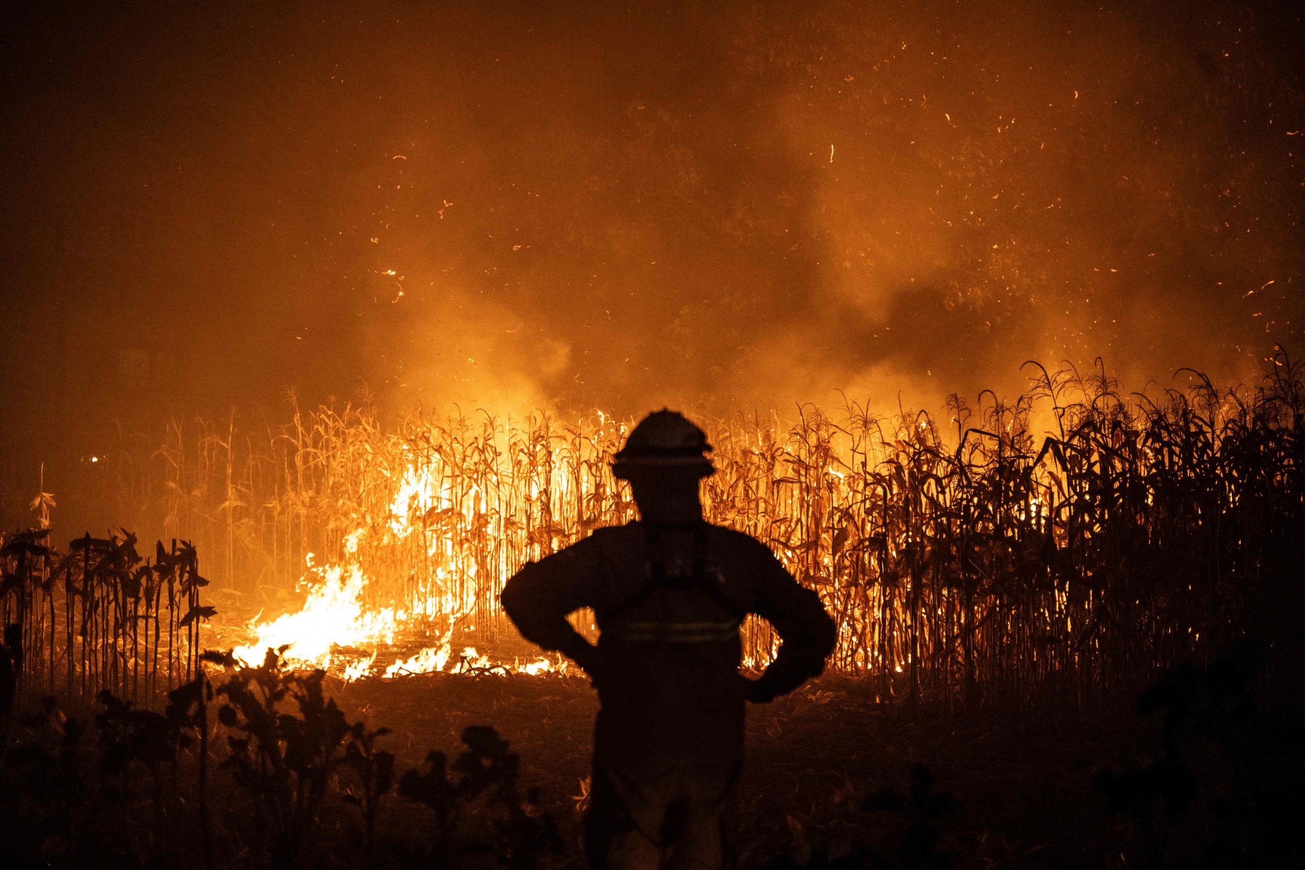 Incêndios. Conselho de Ministros extraordinário  presidido por Marcelo Rebelo de Sousa