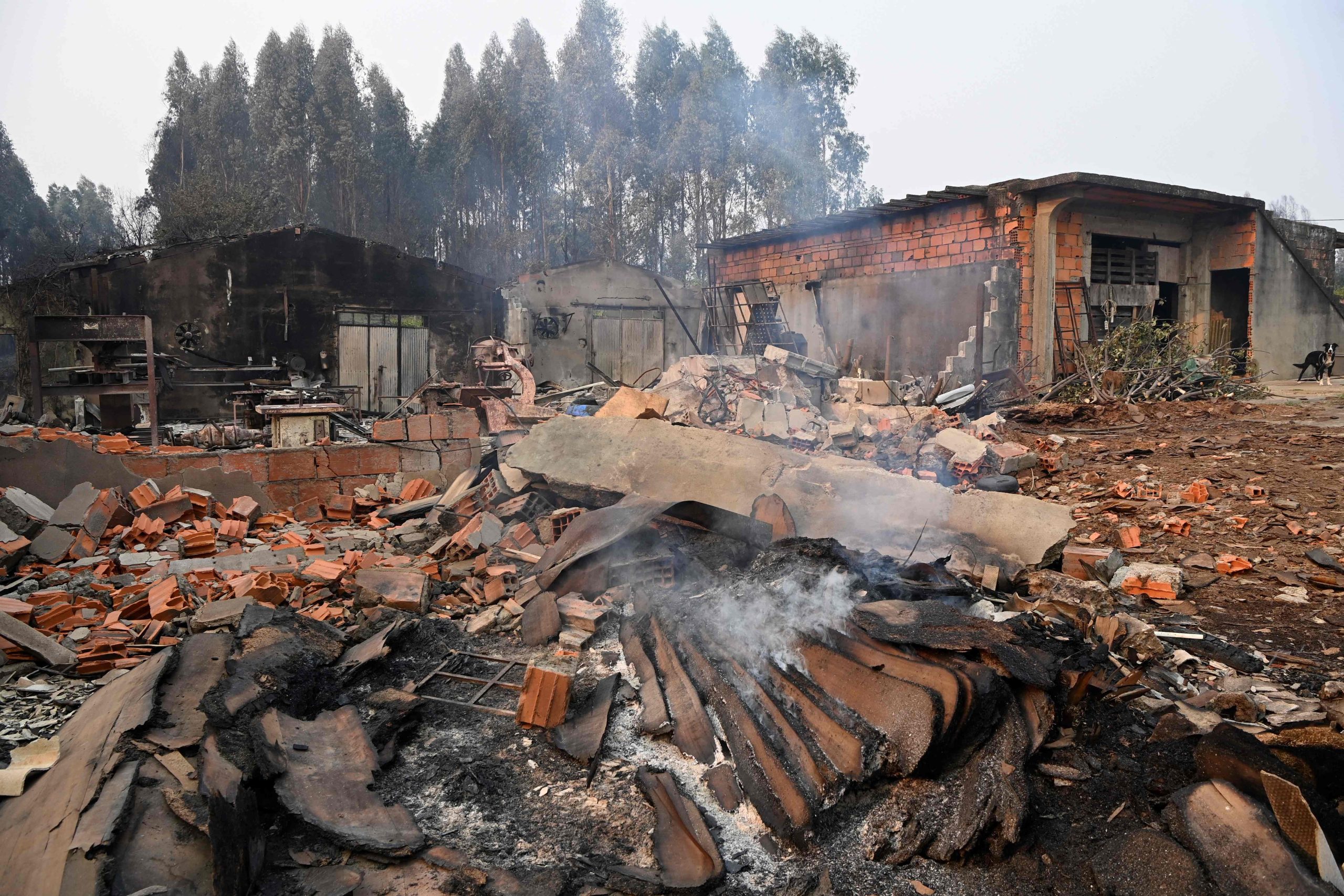 Incêndios. Madrugada e dia de quinta-feira “vão continuar a ser muito complexos” 