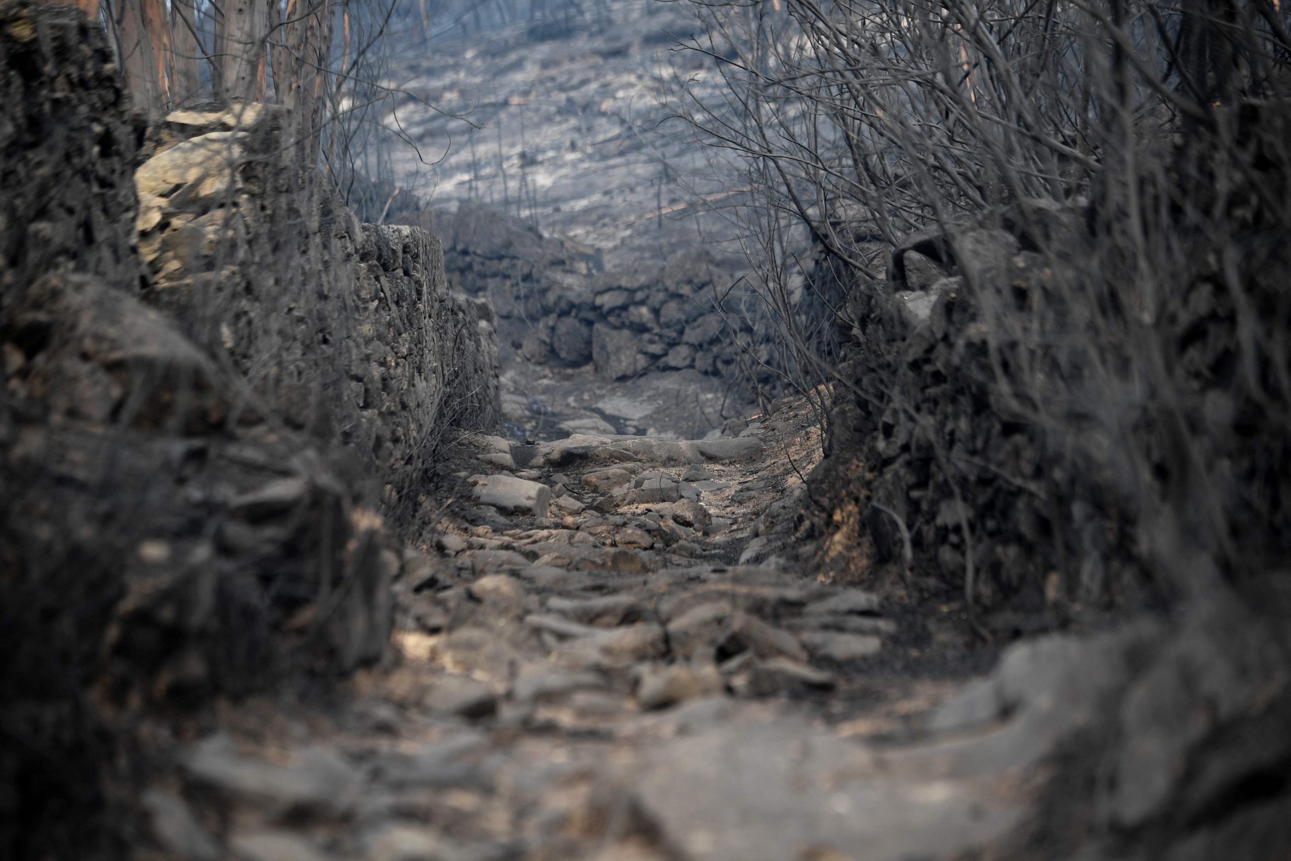 Incêndios. Ministra da Administração Interna garante totalidade das instruções em tempo de combate