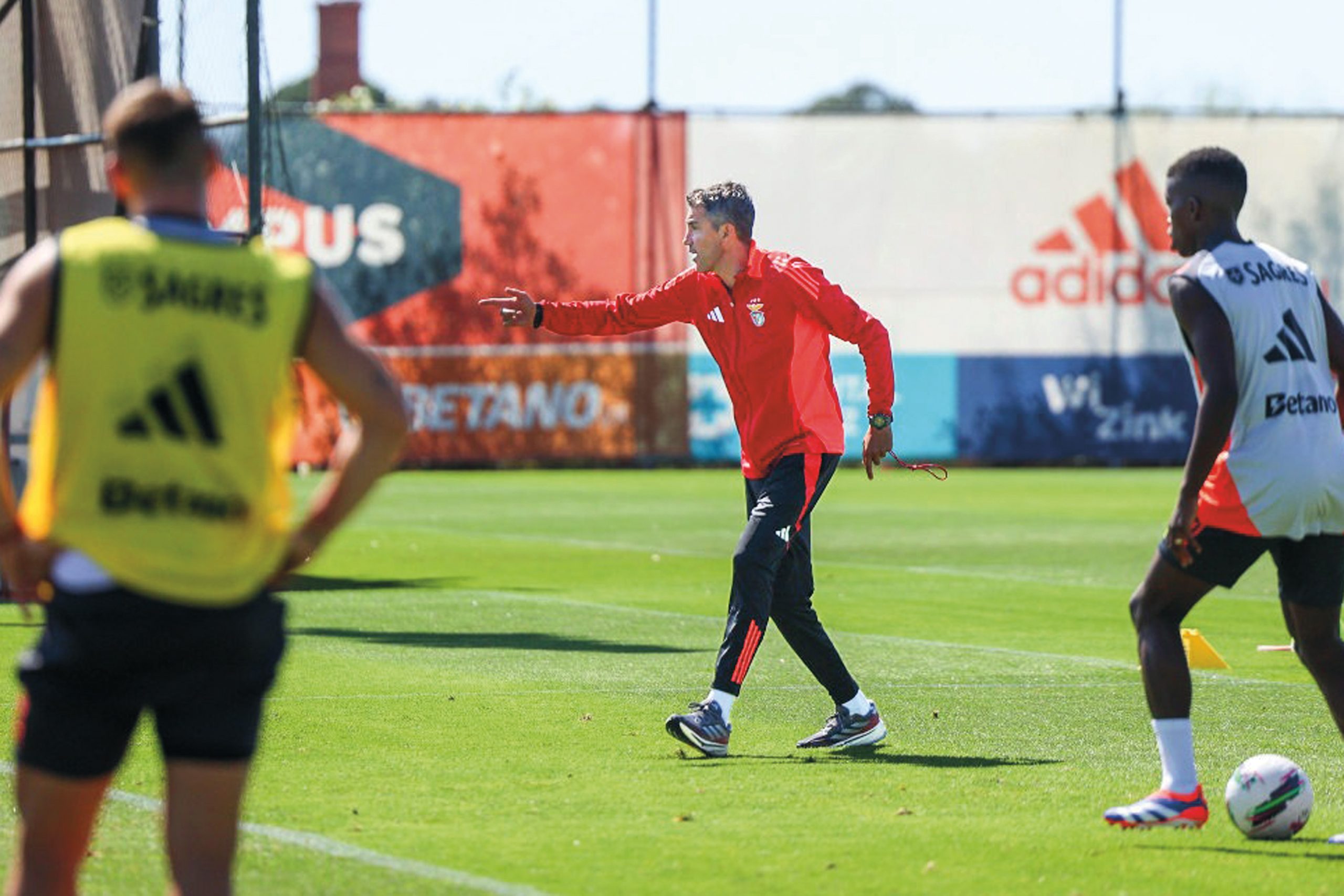 Benfica. Na escuridão da Luz…